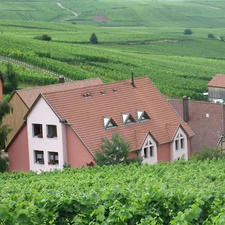 Studio Chez Le Vigneron Hunawihr Exterior photo
