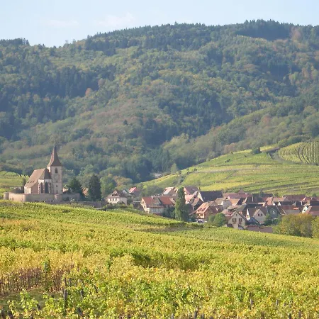 Studio Chez Le Vigneron Hunawihr Exterior photo