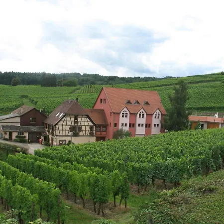 Studio Chez Le Vigneron Hunawihr Exterior photo