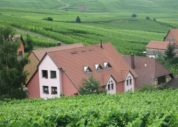 Studio Chez Le Vigneron