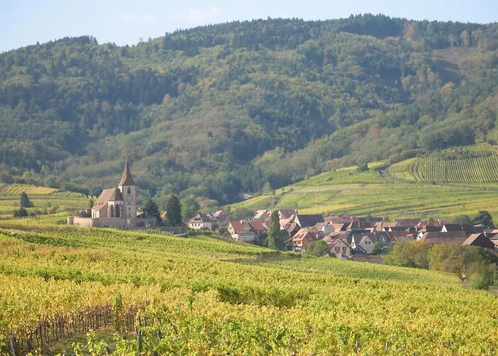 Studio Chez Le Vigneron