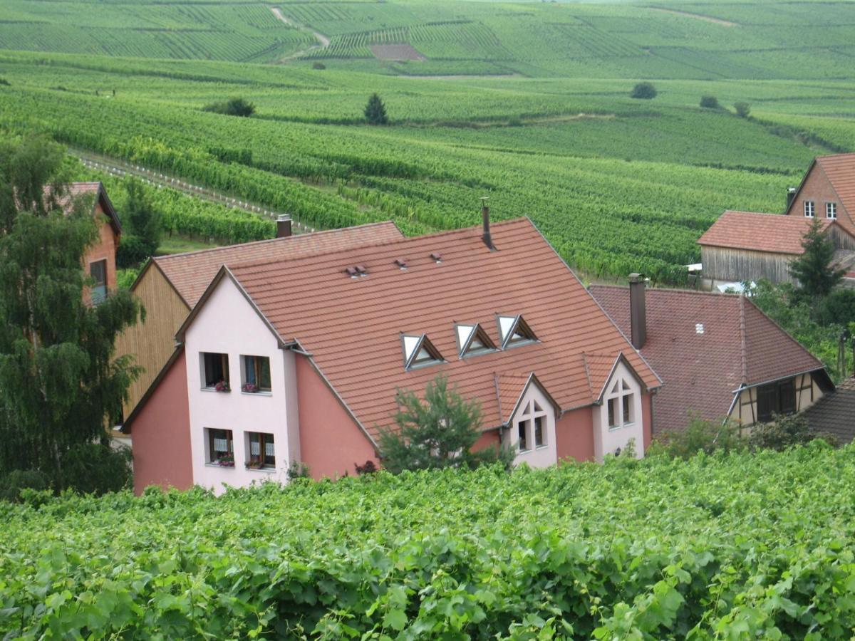 Apartment Chez Le Vigneron *